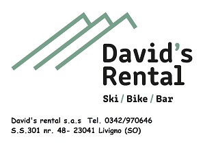 David's Rental Ski Bike